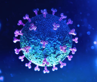 coronavirus